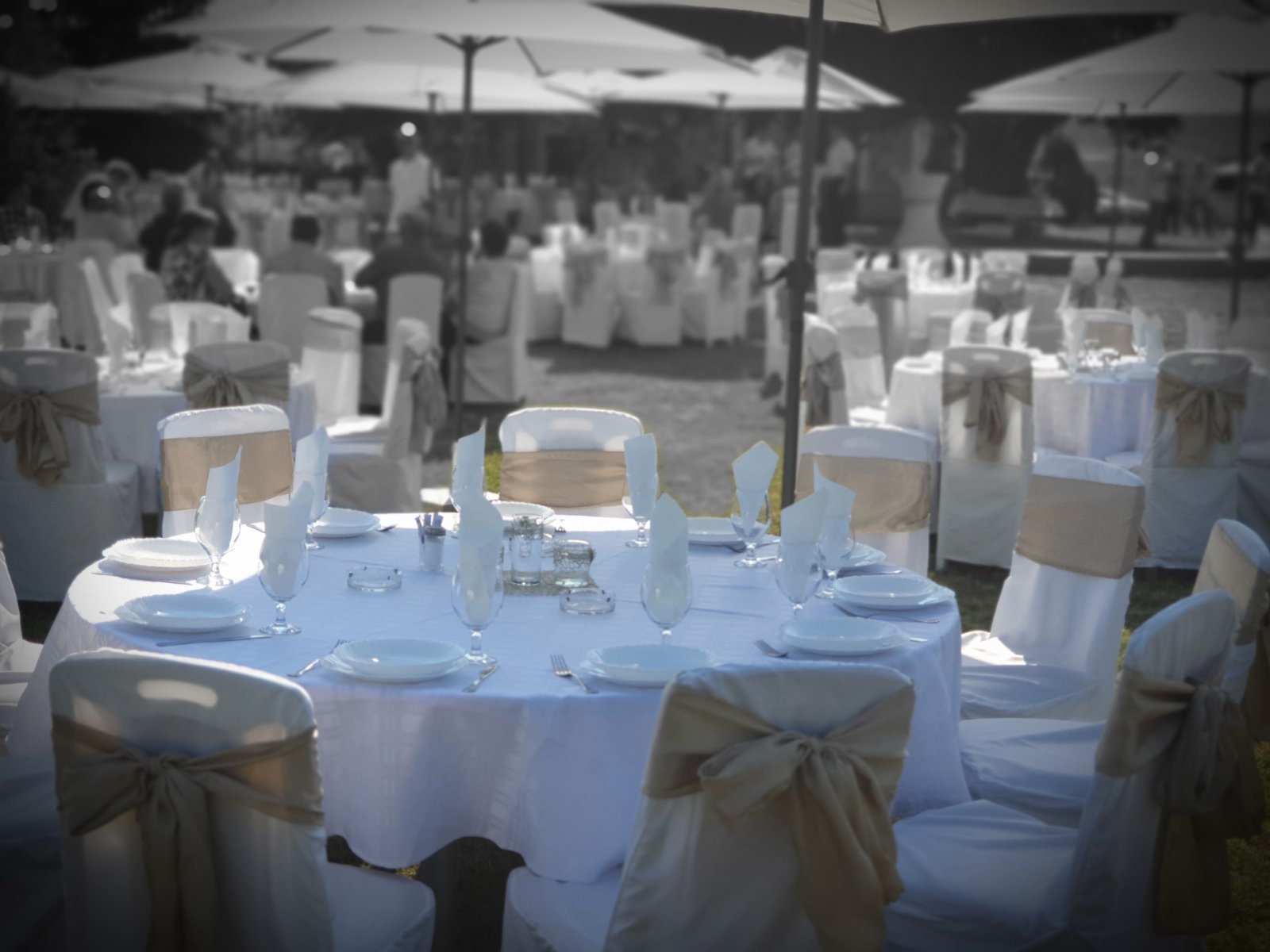 Viber Slika 2019 11 05 17 09 08 1